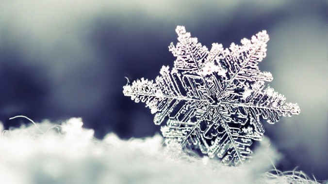 macro-snowflake